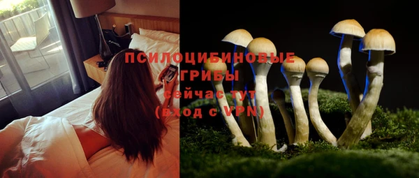 МДПВ Елабуга