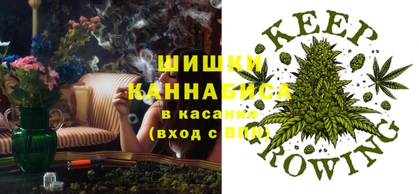 ПСИЛОЦИБИНОВЫЕ ГРИБЫ Сосновка