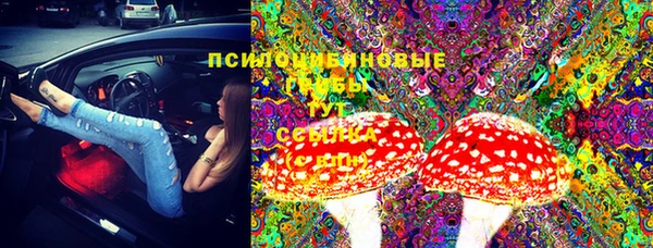 герыч Елизово