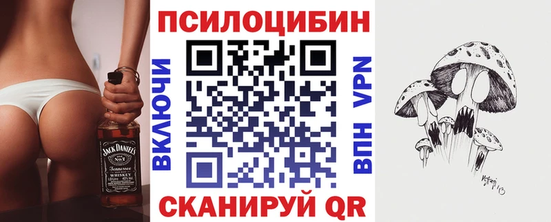 Псилоцибиновые грибы прущие грибы  Купить  Кологрив 